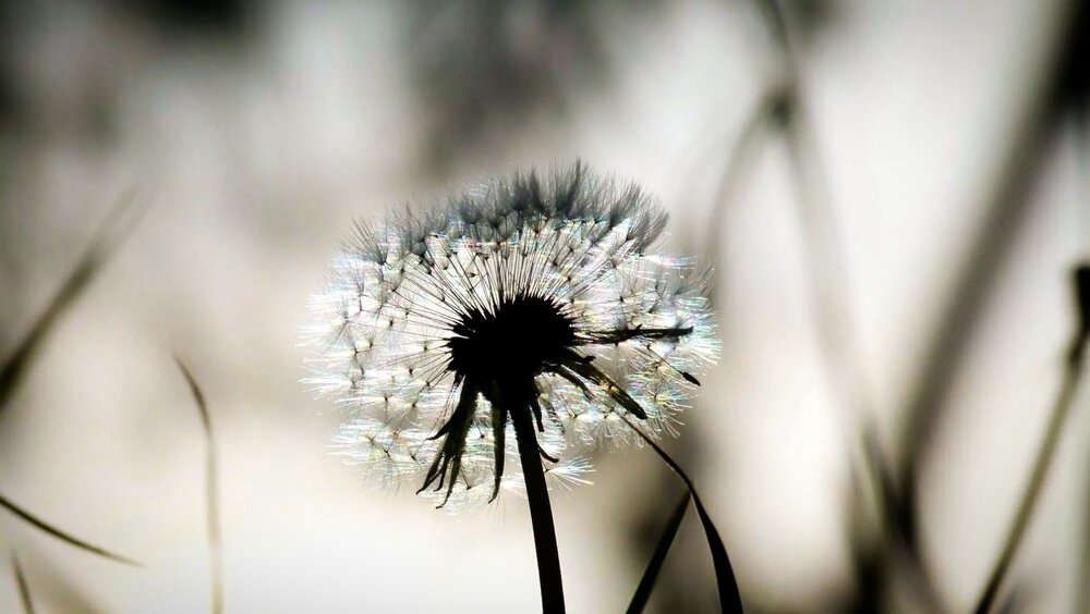 Photograph by Егор Чинарев
