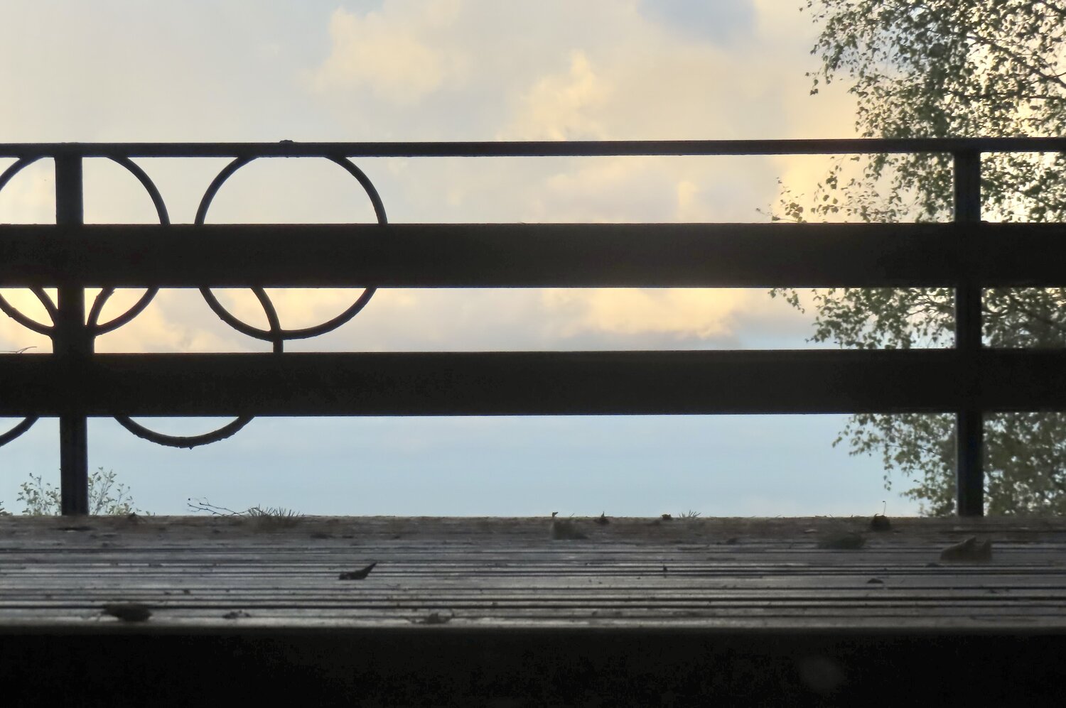 Photo #13878961
