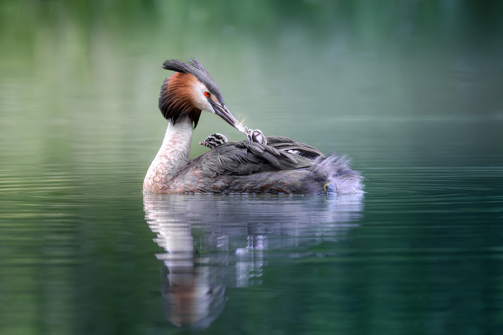 Photograph by Михаил Ездаков