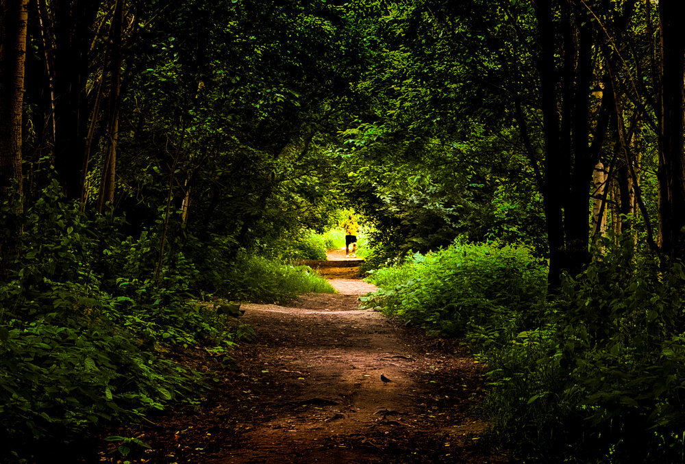 Photograph by Гордий Михаил