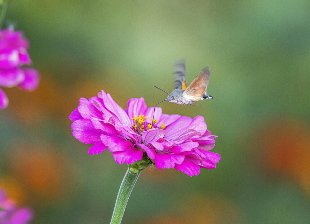 Photograph by Алексей Сиваков