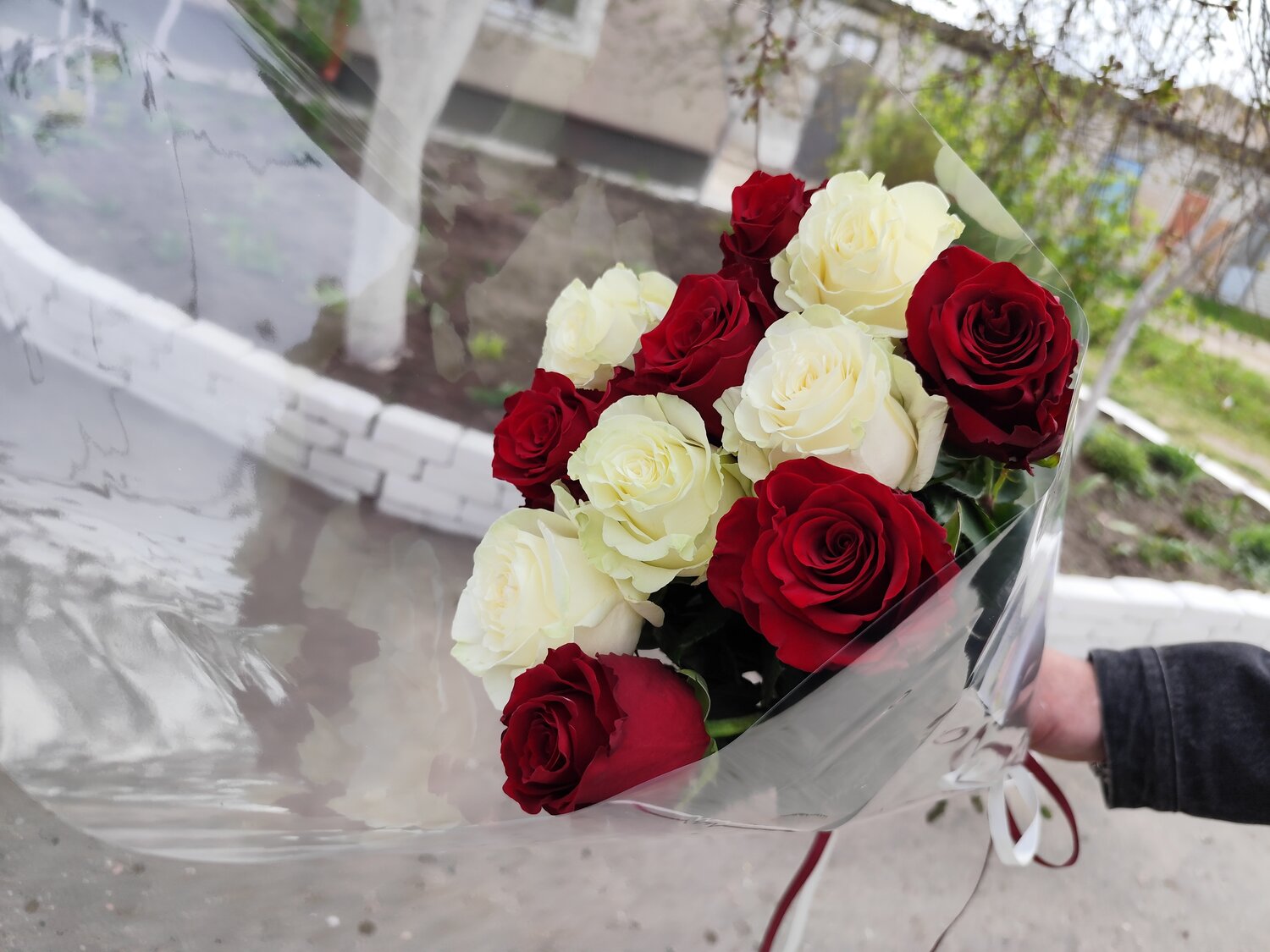 Photo #13879064