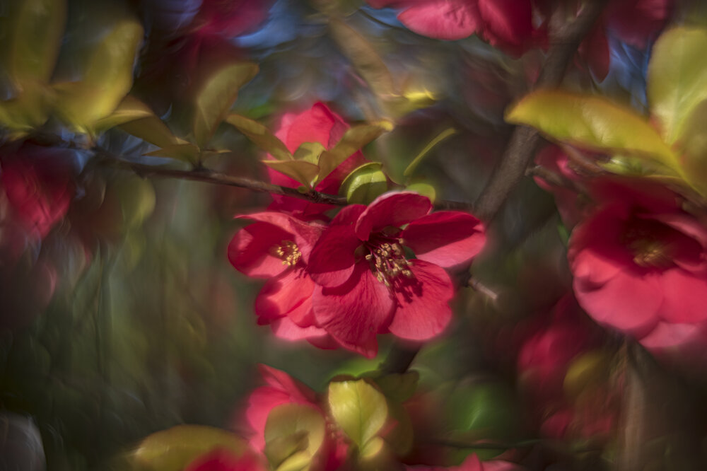Photograph by Алексей Мякота