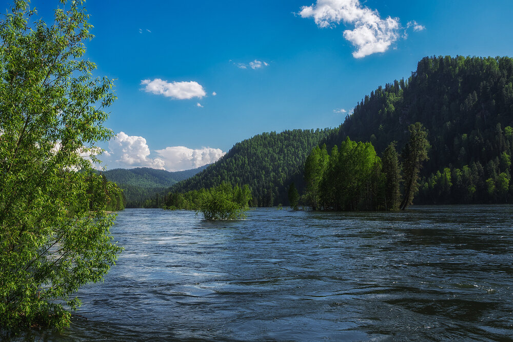 Photograph by Светлана Ващенко