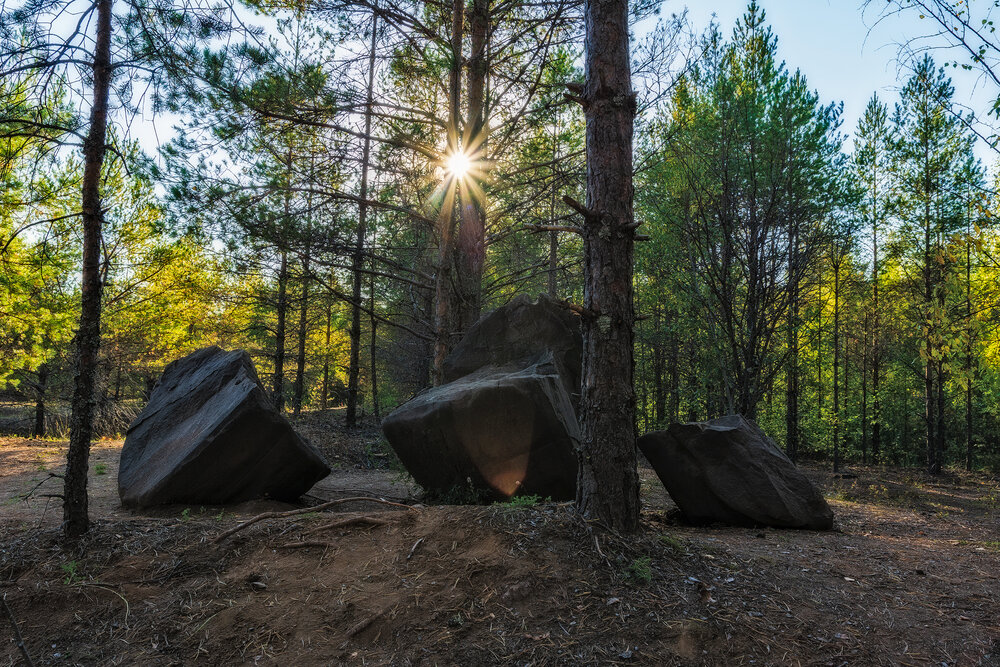Photograph by Светлана Ващенко