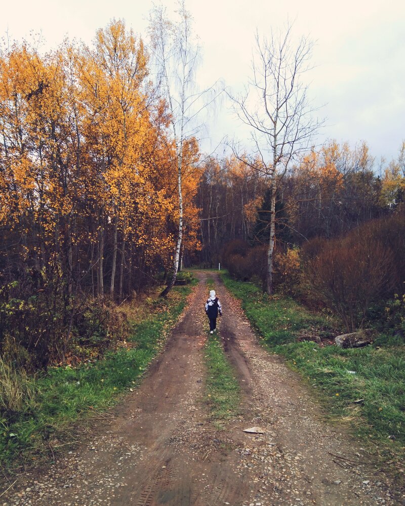 Photo #13879109