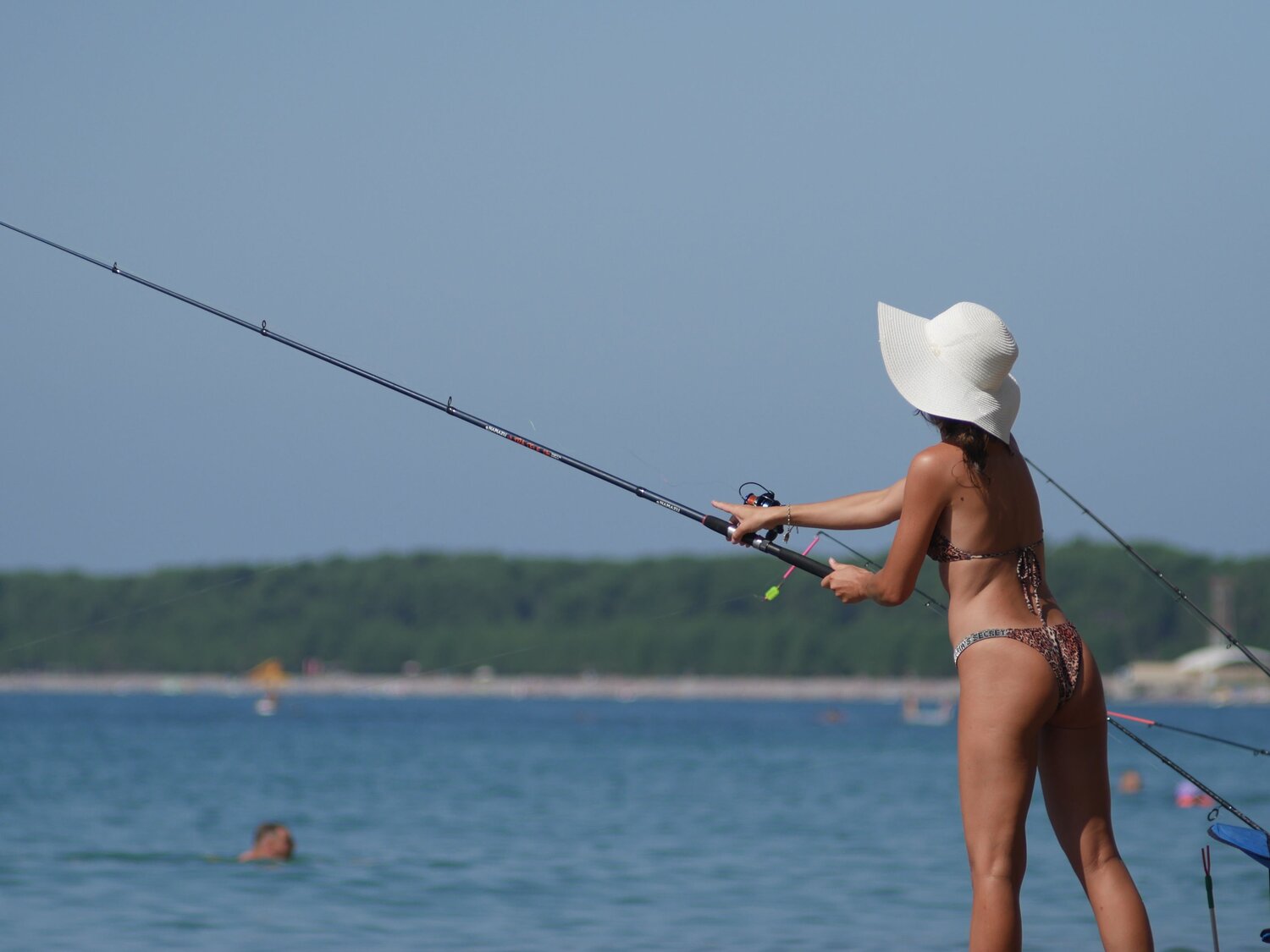 Photo #13879115