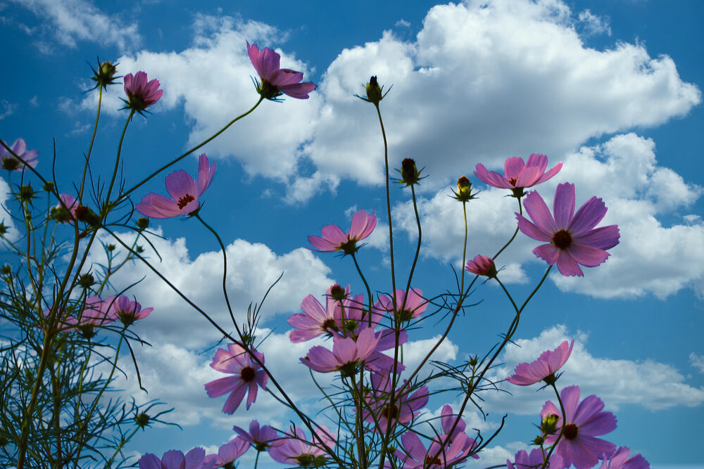 Photograph by Siamak Sabet