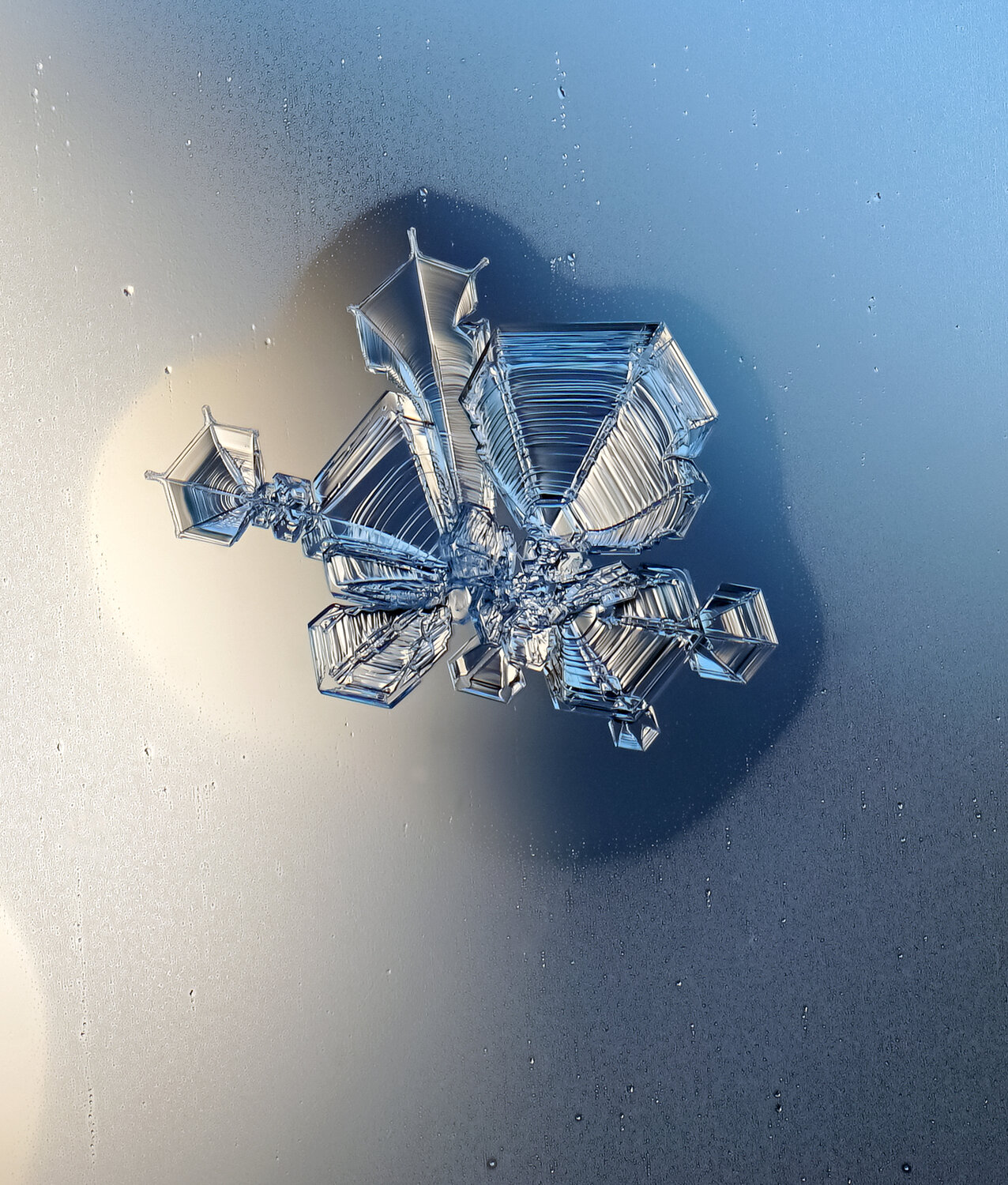 Photo #13879129