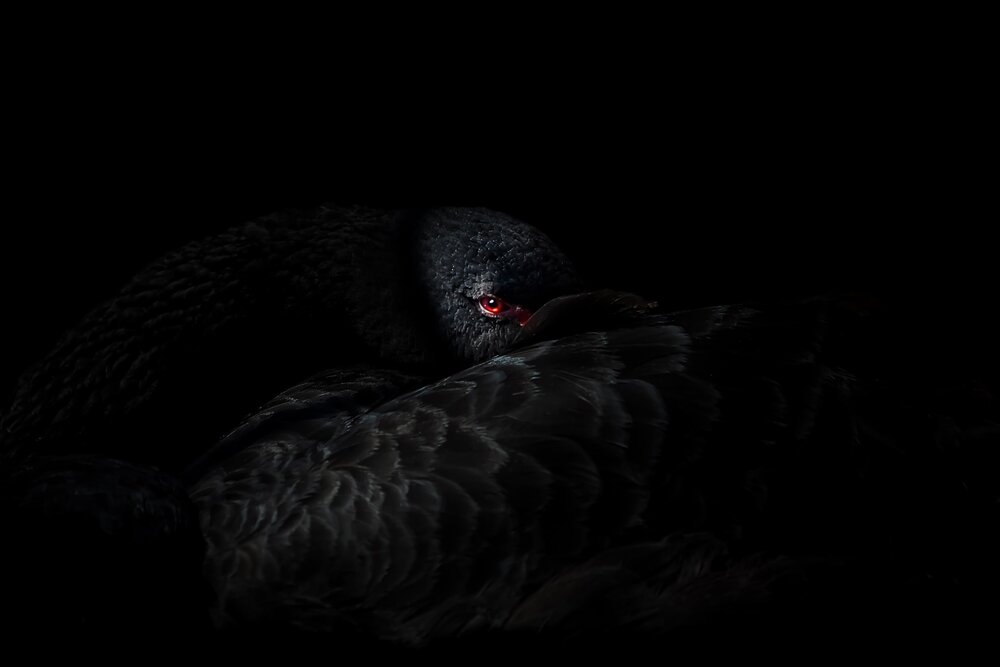 Photograph by Siamak Sabet