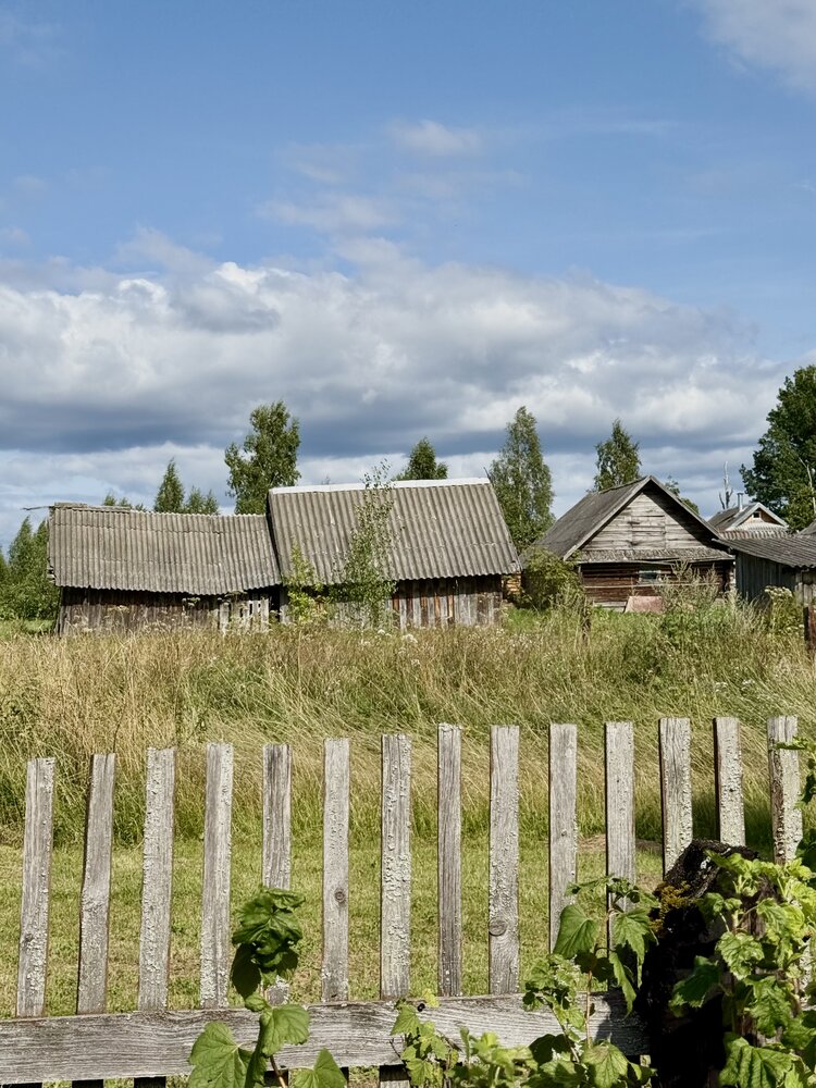 Photograph by Ирина Сорока