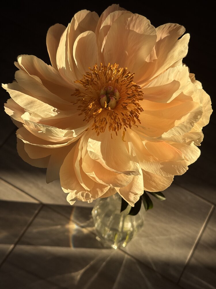 Photograph by Жанна Колесникова