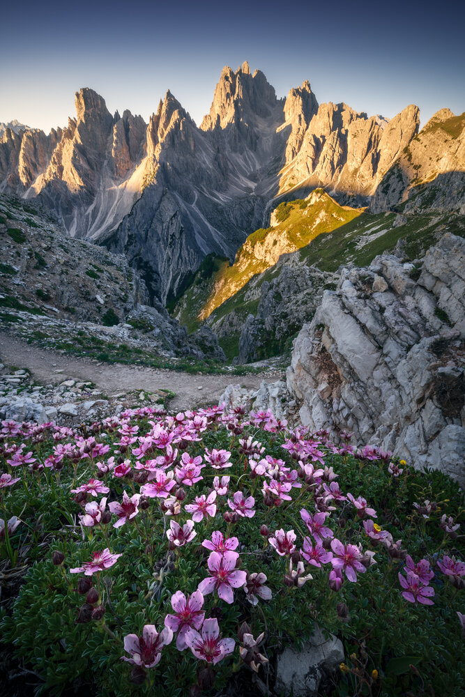 Photograph by Paolo Gabriele Maiero
