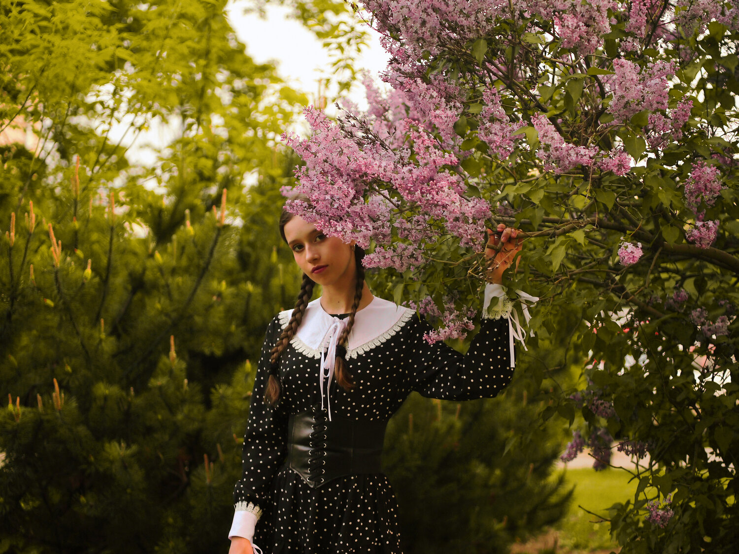 Photo #13879304