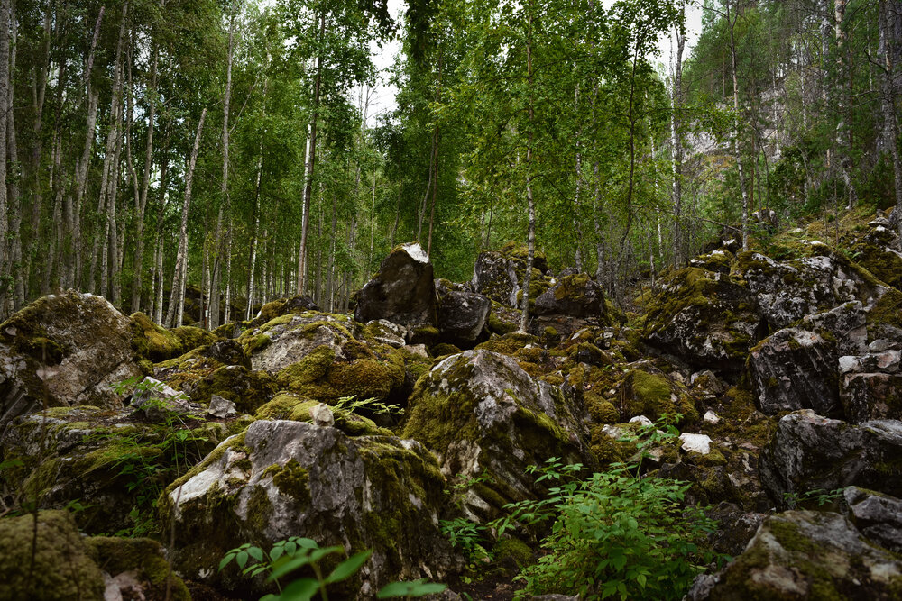 Photograph by Виктория Кос