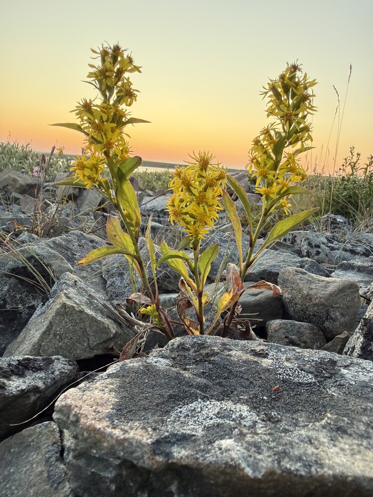 Photograph by Ольга Зимина