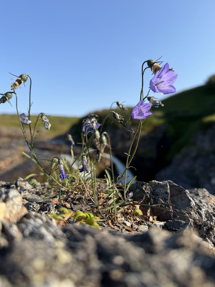 Photograph by Ольга Зимина