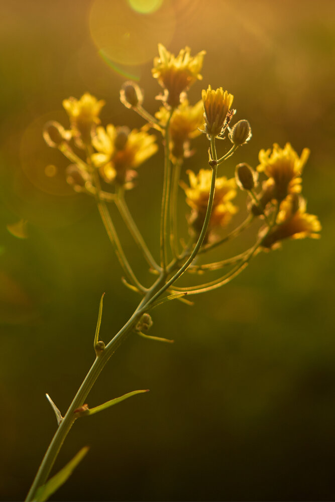 Photograph by Liudmila Vorob’yova