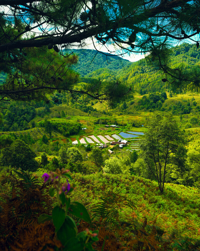 Photograph by Sekhar Sonar