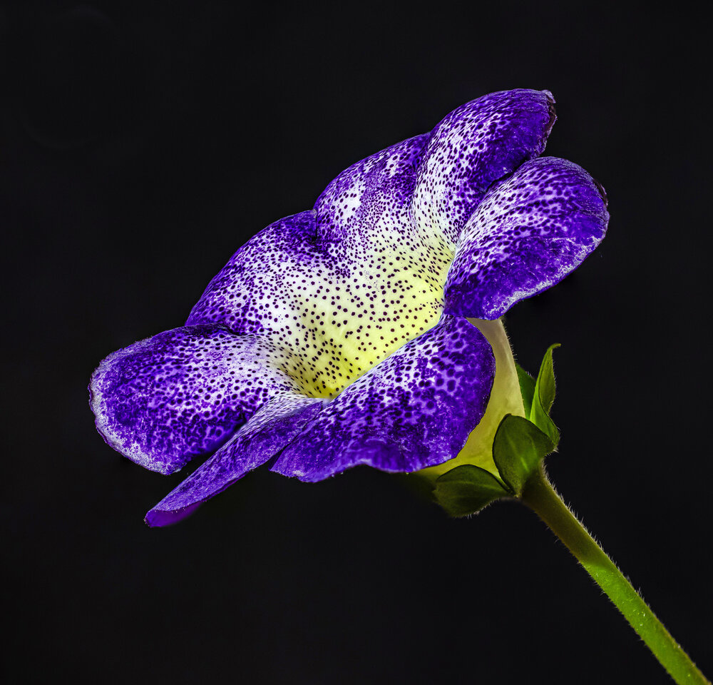 Photograph by Николай Абакумов