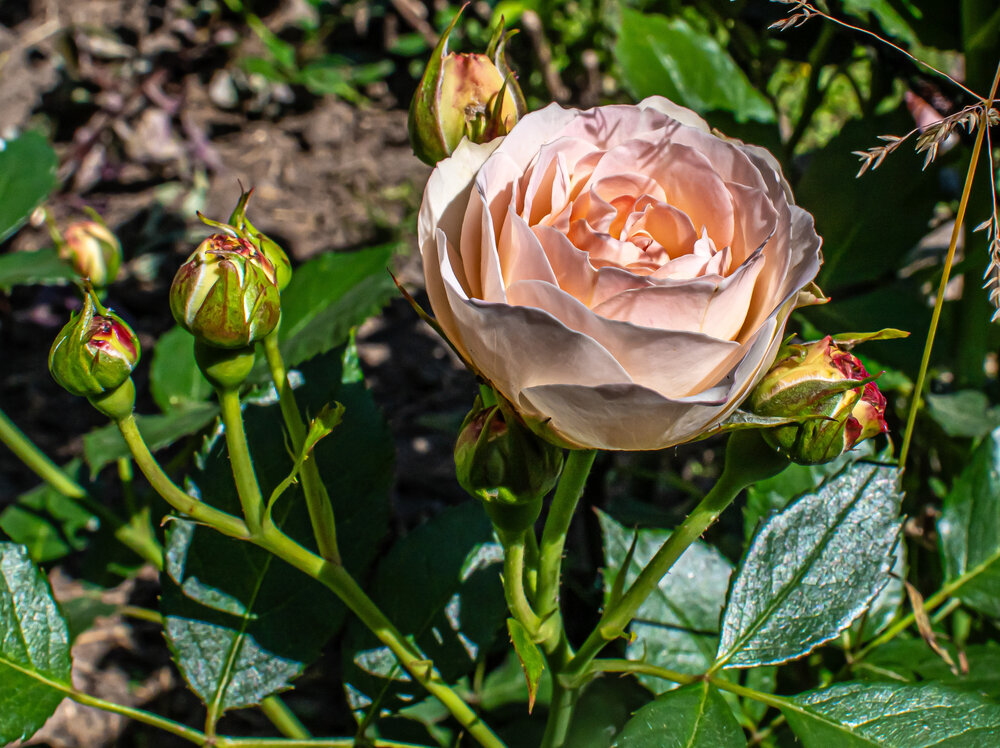 Photograph by Николай Абакумов