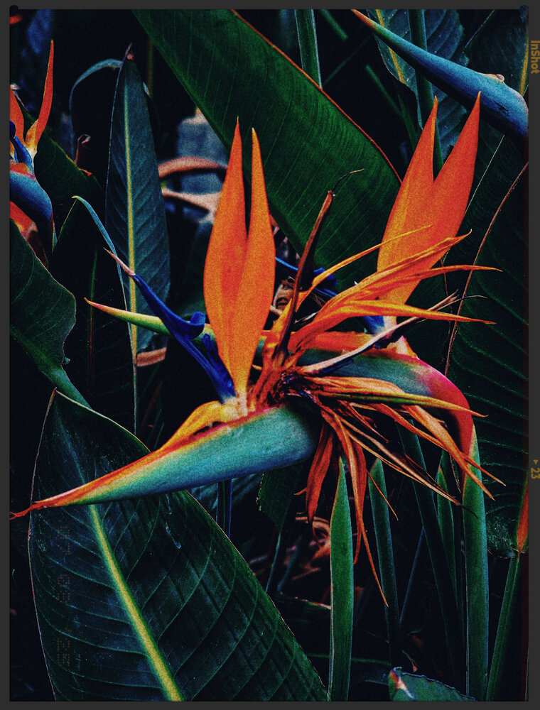 Photograph by Galina Israilov