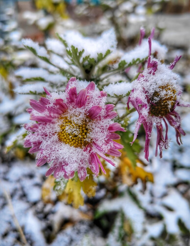 Photograph by Ульяна Кузьмина