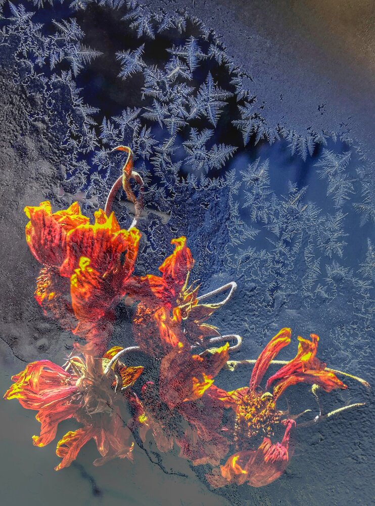 Photograph by Ульяна Кузьмина