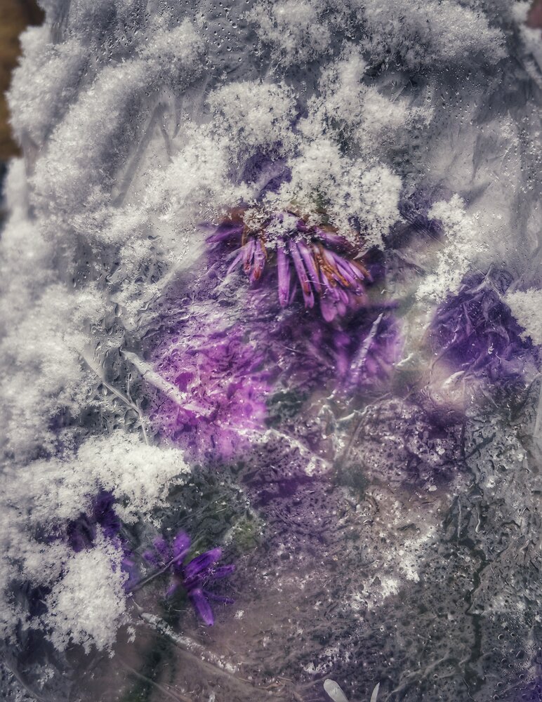 Photograph by Ульяна Кузьмина