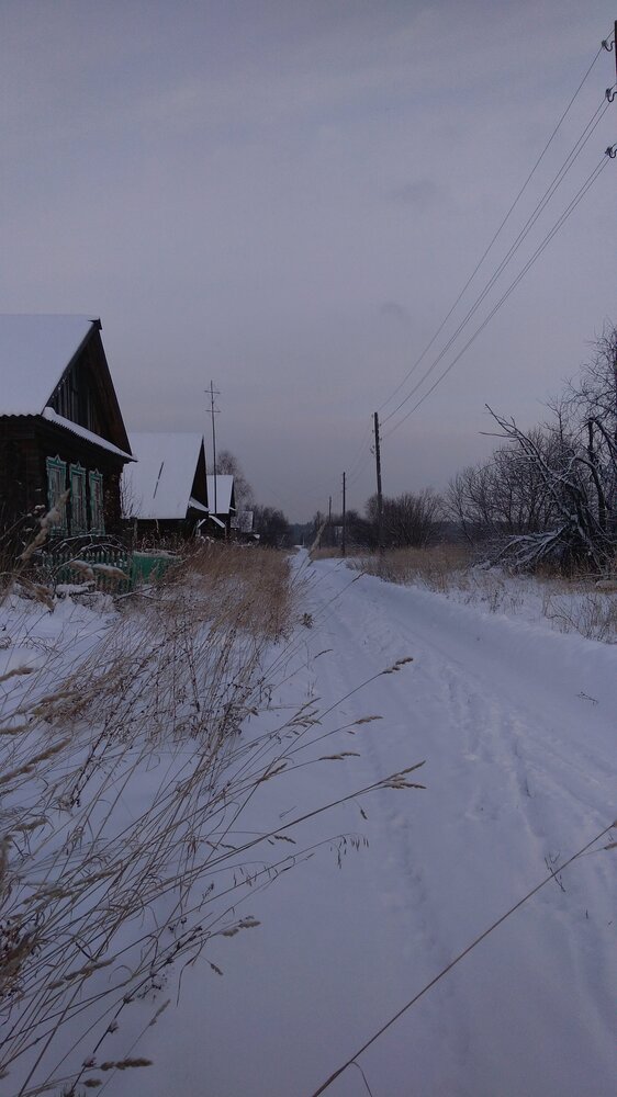 Photo #13879461