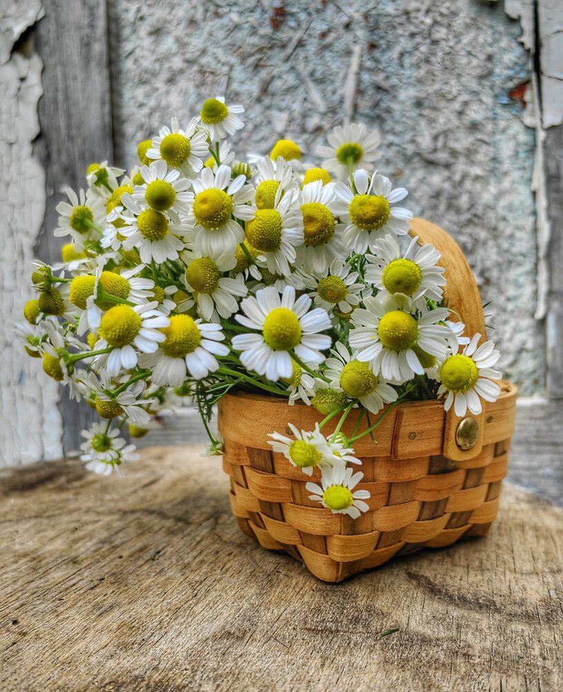 Photograph by Ульяна Кузьмина