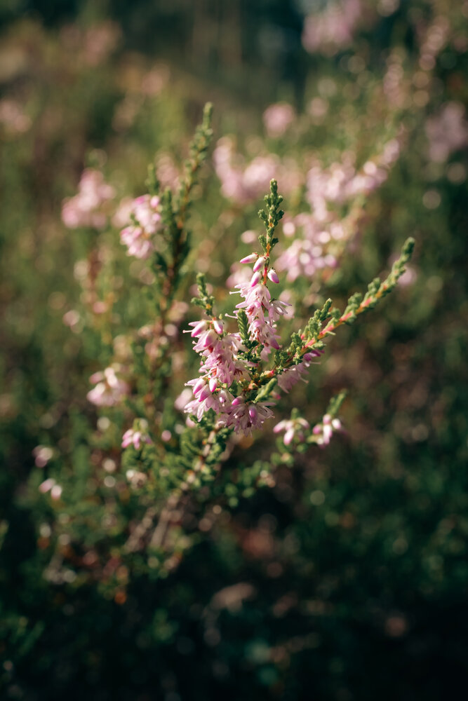 Photograph by Максим П.