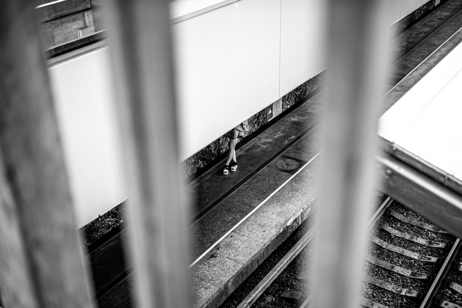 Photo #13879511