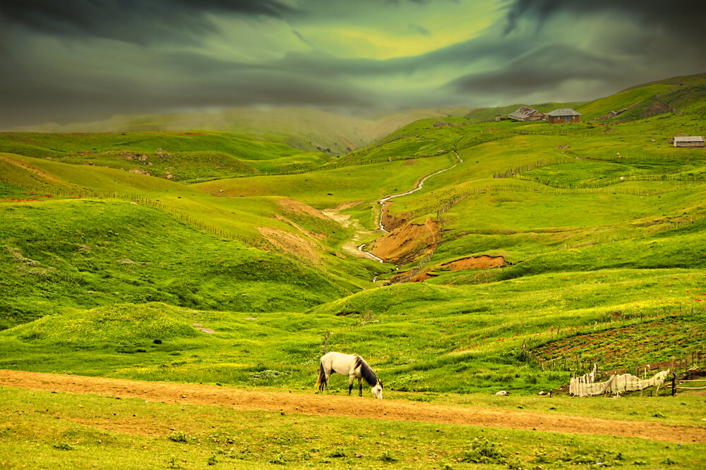 Photograph by Siamak Sabet