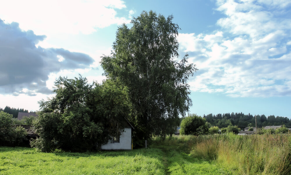 Photograph by Alexandra Chalova