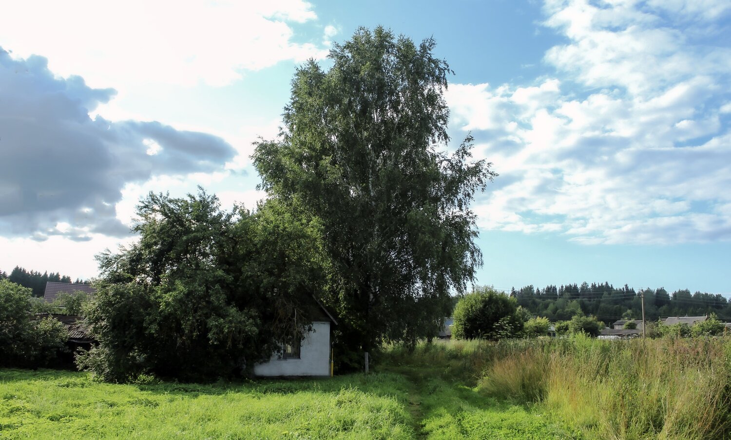Photo #13879651