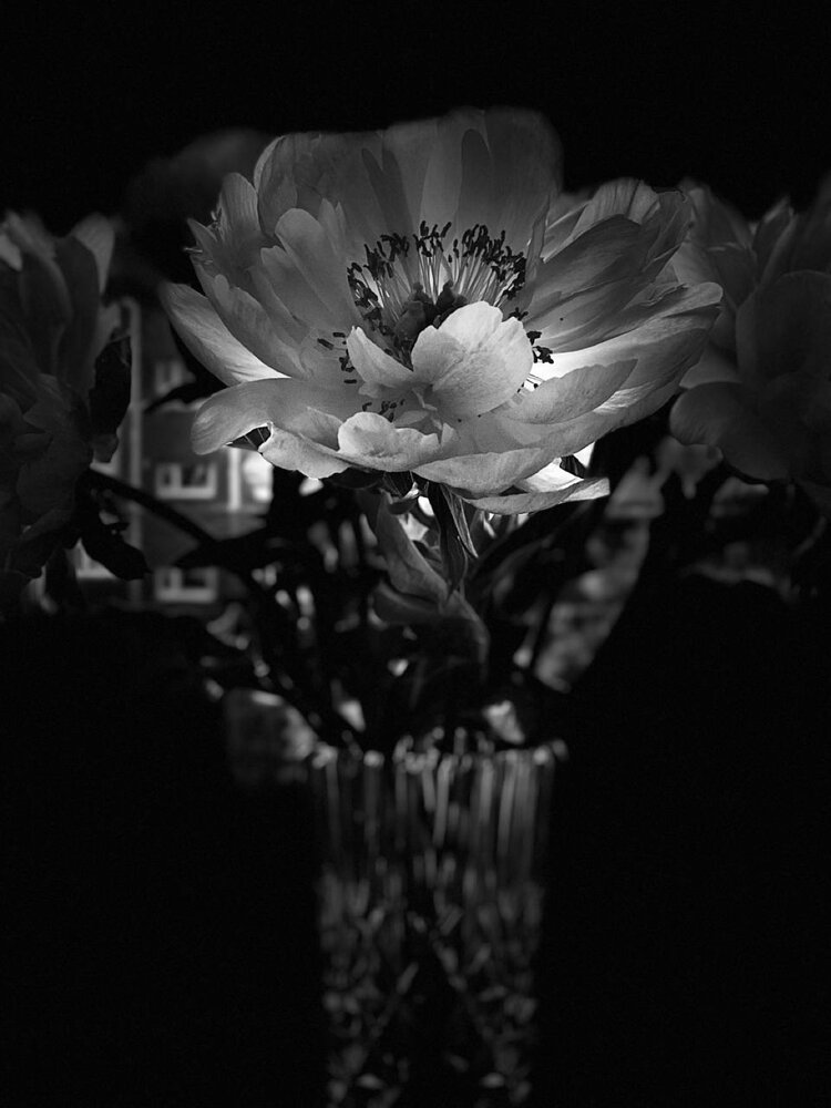 Photograph by Наталья Казачок