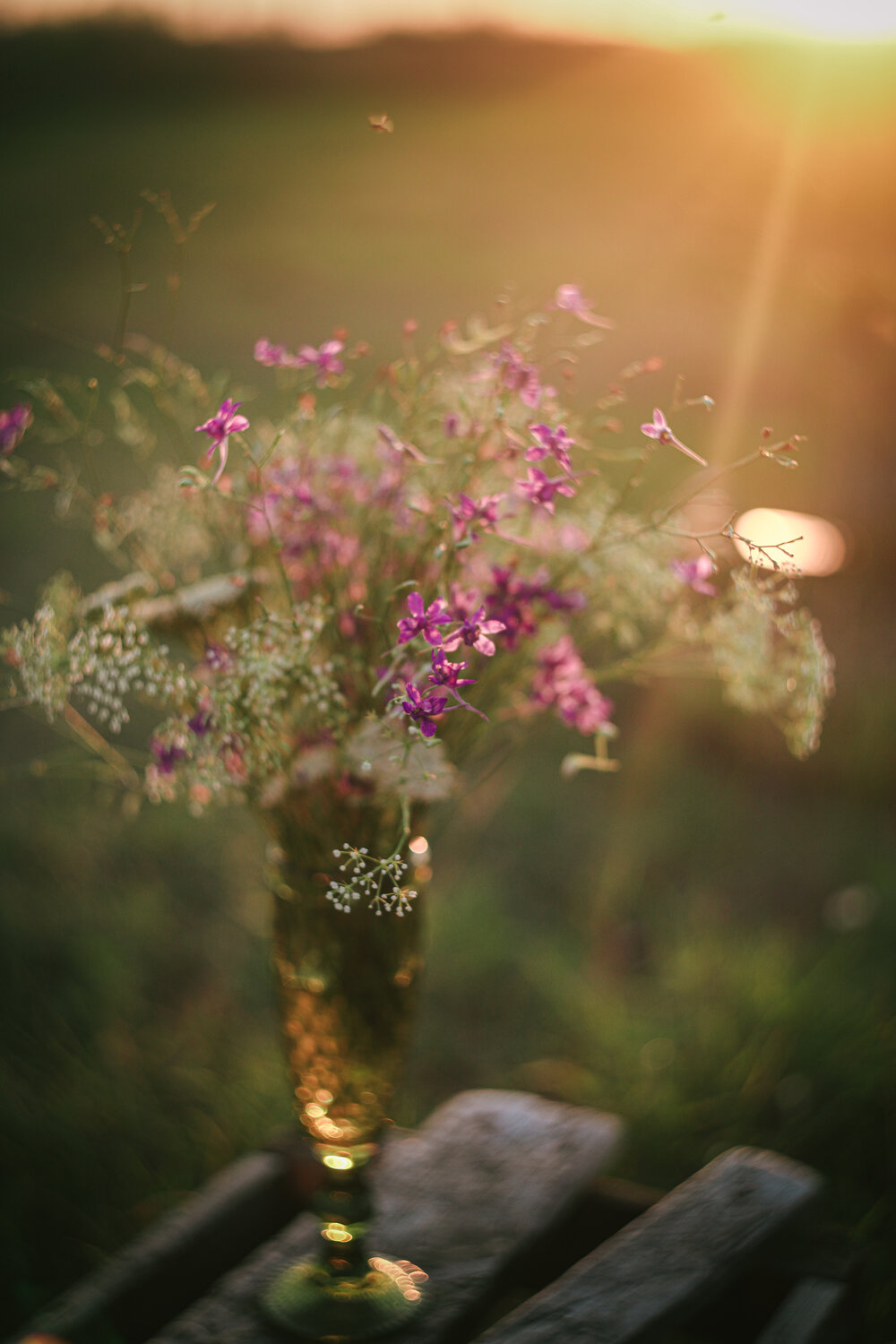Photo #13879866