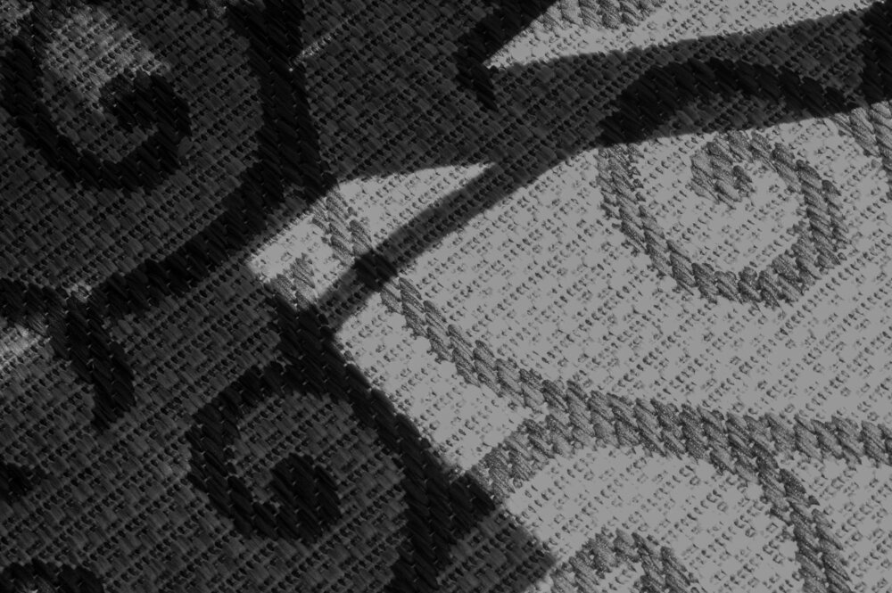 The Carpet
