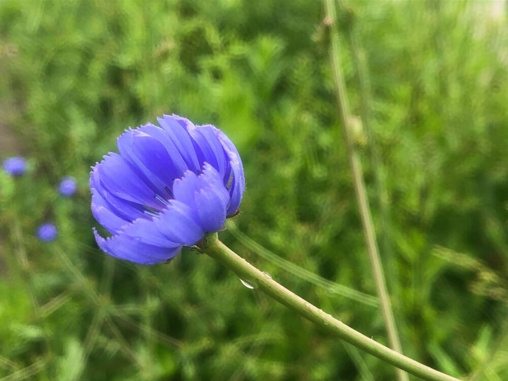 Photograph by Белехова Светлана