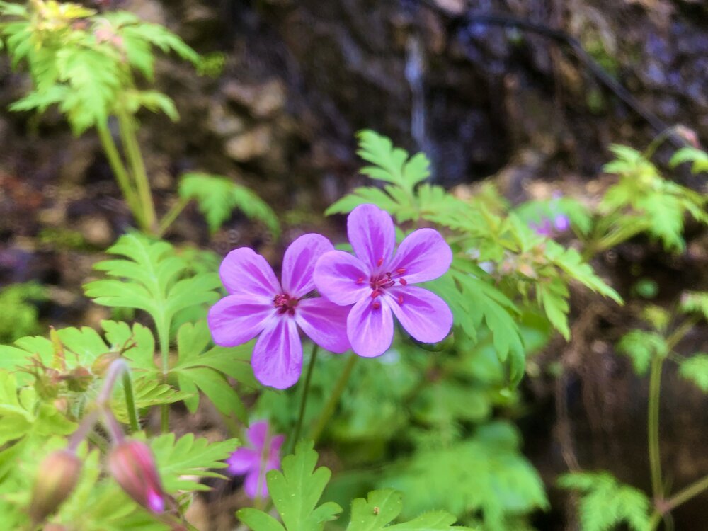 Photograph by Белехова Светлана