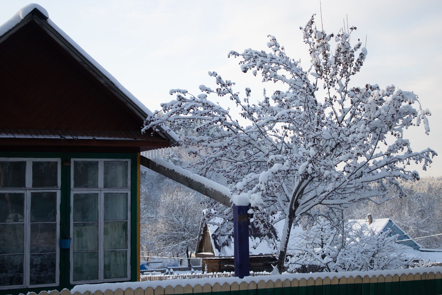Photo #13879938