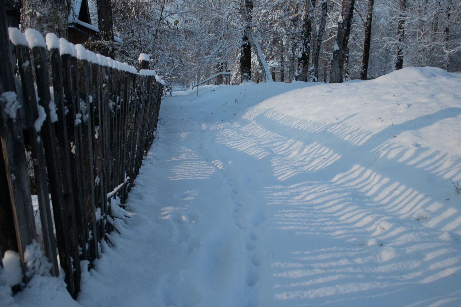 Photo #13879939