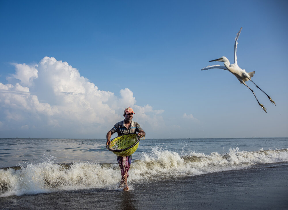 Photograph by Shehan Dondeenu
