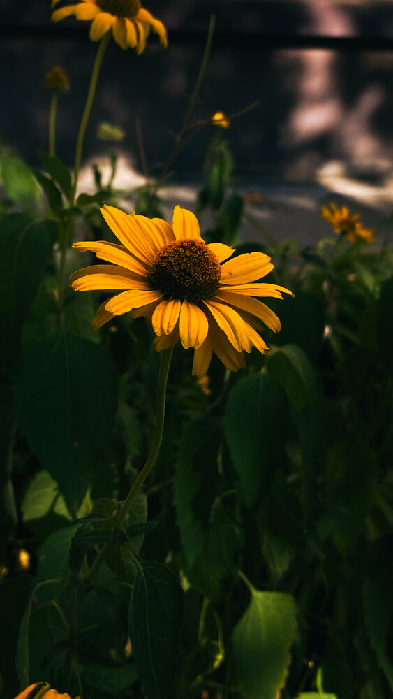 Photograph by Светлана Гуторова
