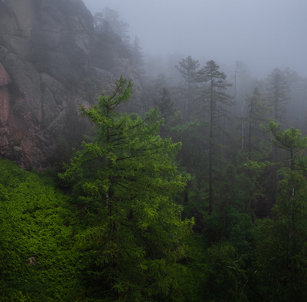 Photograph by Госпадарёв Александр