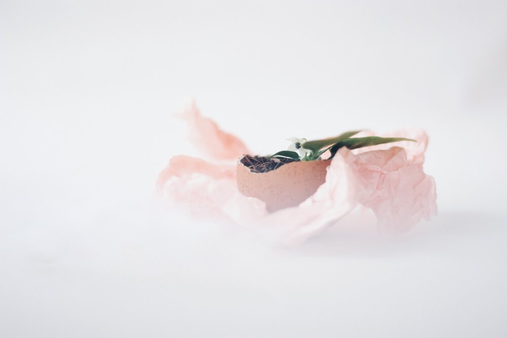 Photograph by Alexandra Ivanchikova