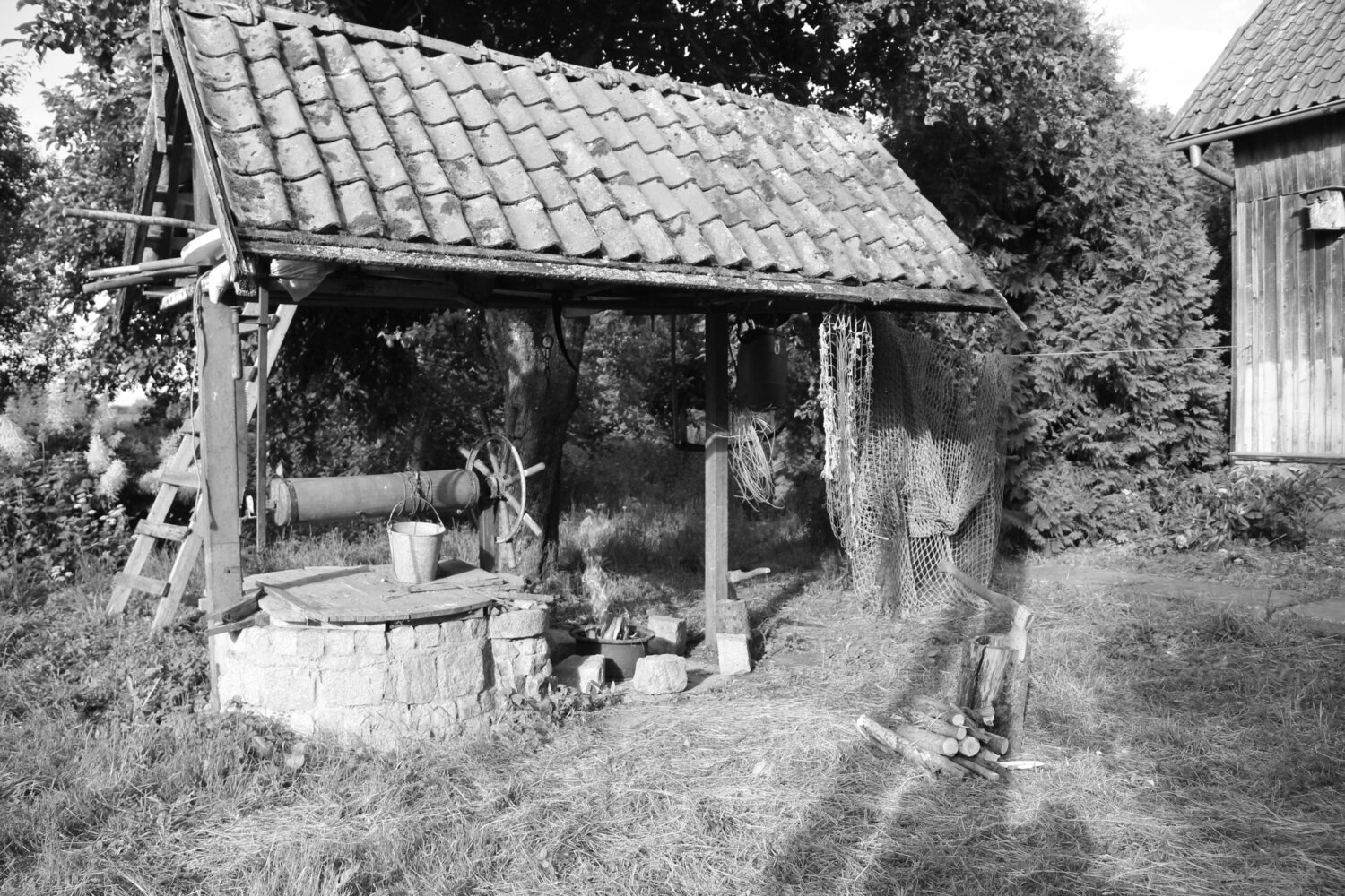 Photo #13880191