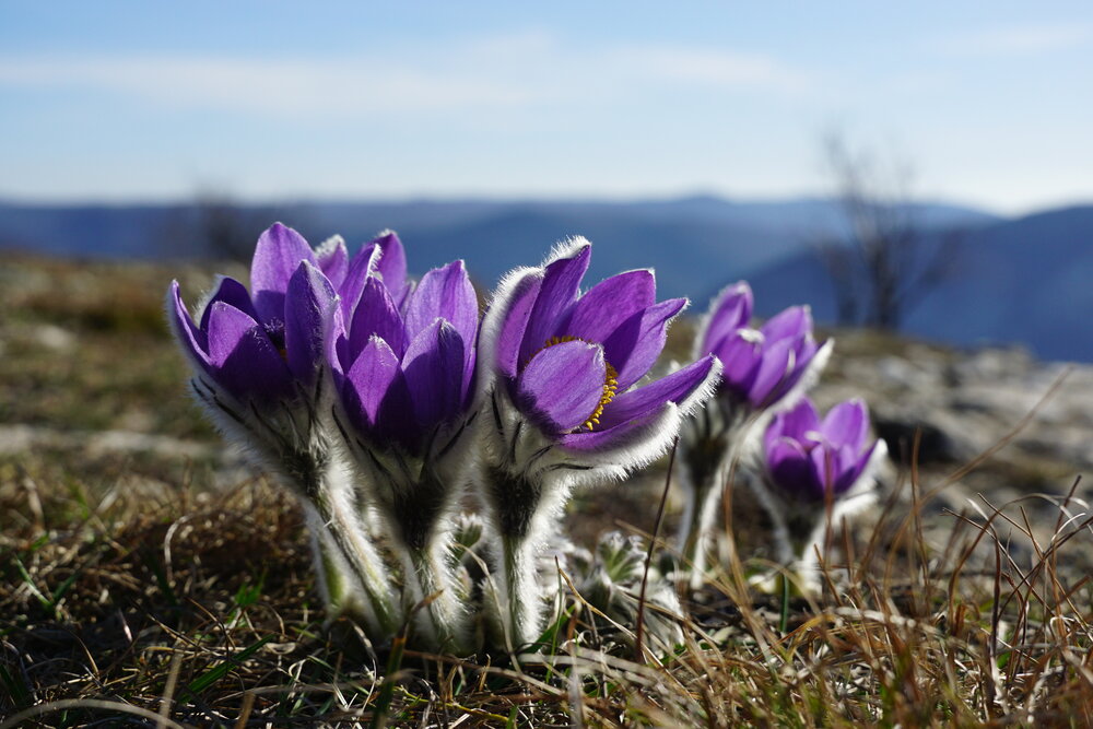 Photograph by света хлевненко