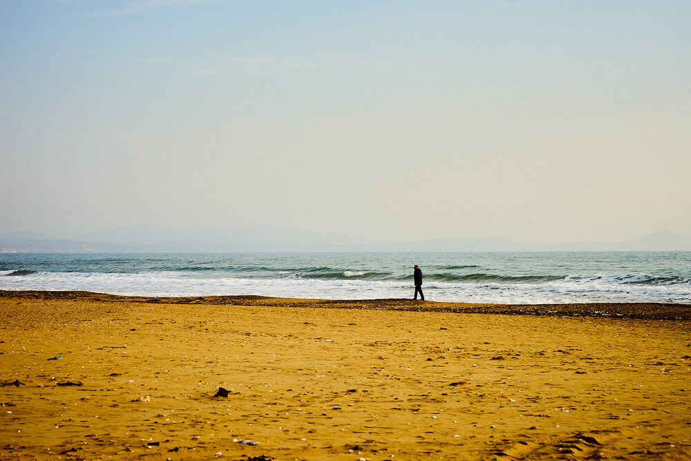 Photograph by Лариса Н